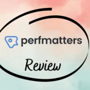 perfmatters review